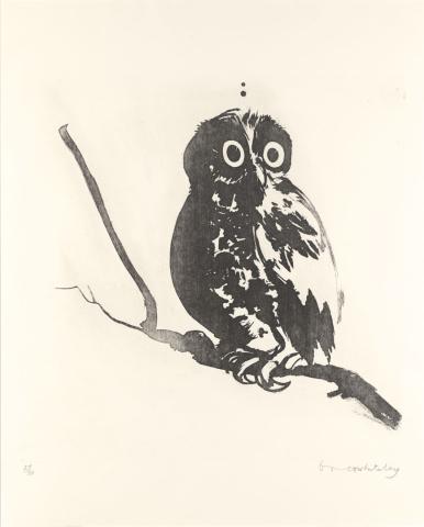 Artwork Startled owl this artwork made of Sugar-lift aquatint