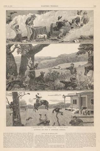 Artwork Adventure and sport in Queensland, Australia: Robbing a bees' nest; A Kangaroo at Bay; Slightly elevated (from 'Harper's Weekly (A Journal of Civilization)', 21 April 1883) this artwork made of Engraving