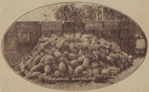 Artwork Pineapples, Queensland this artwork made of Postal note: Black and white print on paper, created in 1890-01-01
