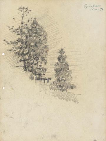 Artwork Pines behind the University this artwork made of Pencil on sketch paper, created in 1915-01-01