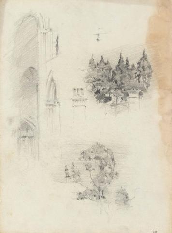 Artwork Interior of St John's Cathedral; Group of pine trees; A eucalypt this artwork made of Pencil on sketch paper, created in 1914-01-01