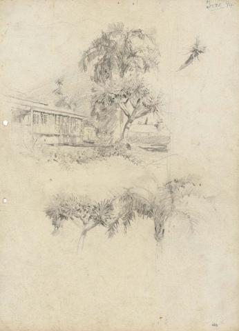 Artwork East corner of Cowlishaw's with palms and tropical shrubs this artwork made of Pencil on sketch paper, created in 1916-01-01