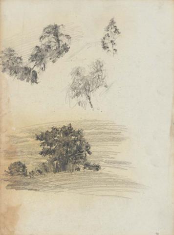 Artwork Studies of trees this artwork made of Pencil on sketch paper, created in 1914-01-01