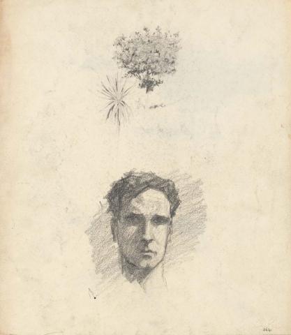 Artwork Plants; Self portrait this artwork made of Pencil on sketch paper, created in 1914-01-01