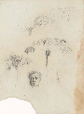 Artwork Pawpaw trees; Self portrait this artwork made of Pencil