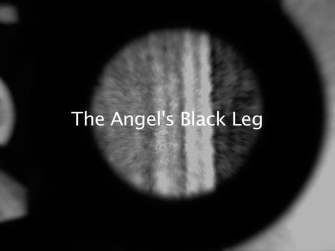 Artwork The angel's black leg this artwork made of SD video: 9:48 minutes, black and white, stereo, 4:3