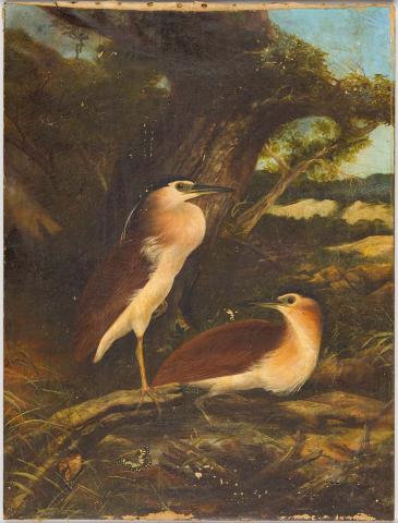 Artwork (Herons nesting) this artwork made of Oil on canvas, created in 1890-01-01