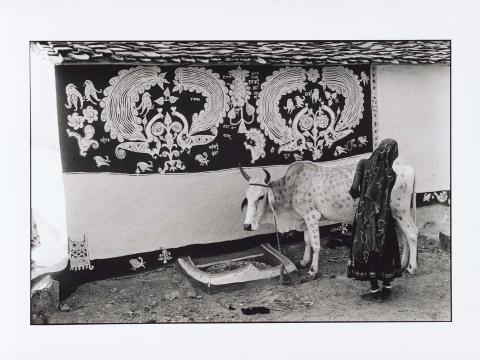 Artwork A woman decorating a bullock for the Gordhan Festival, Rajasthan this artwork made of Gelatin silver photograph