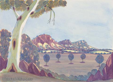 Artwork West MacDonnell Ranges, NT this artwork made of Watercolour on paperboard, created in 2008-01-01
