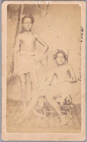 Artwork Fijian boys this artwork made of Albumen photograph on paper mounted on card, created in 1865-01-01