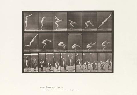 Artwork Man leaping forwards (plate 163 from ‘Animal Locomotion’ album) this artwork made of Collotype on paper, created in 1887-01-01