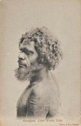 Artwork Aboriginal Chief Workii Tribe this artwork made of Postcard: Black and white photographic print, created in 1895-01-01