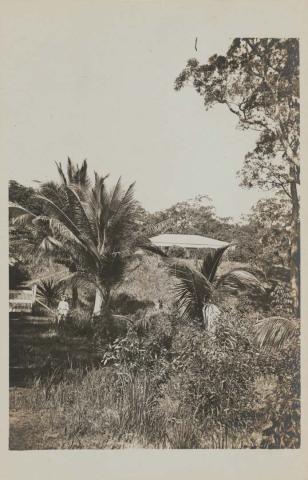 Artwork Dunk Island Queensland this artwork made of Postcard: Black and white photographic print, created in 1918-01-01
