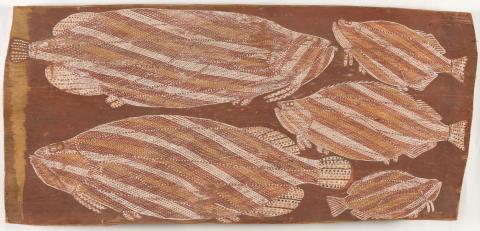 Artwork Birlmu (five barramundi) this artwork made of Natural pigments on eucalyptus bark