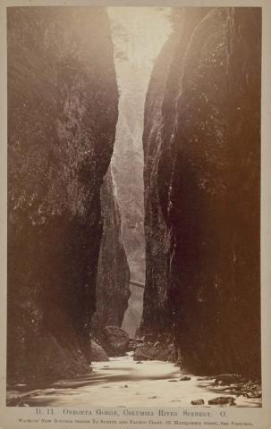 Artwork D.H. Oneonta Gorge, Columbia River Scenery O. this artwork made of Albumen photograph