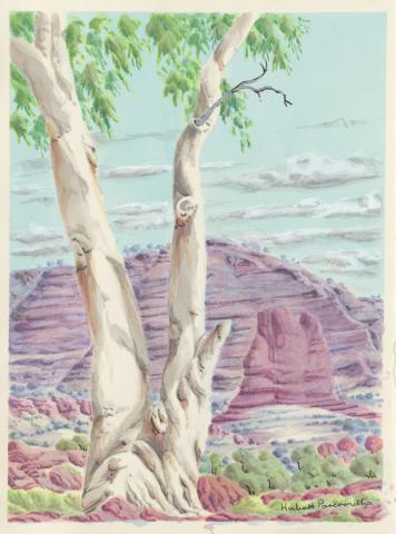 Artwork Ghost Gum - Palm Valley (Alyape), NT this artwork made of Watercolour on paper, created in 2020-01-01