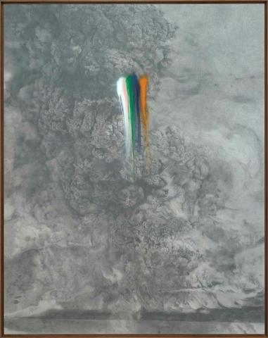 Artwork Rainbow herbicides this artwork made of Graphite and spray paint on Canson paper, laminated and mounted on aluminium, walnut frame, created in 2018-01-01