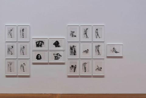 Artwork Alice Jitterbug: Transformer this artwork made of Photographic performance: Inkjet prints from archival black and white photographs on paper, created in 1977-01-01