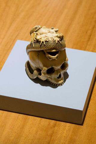 Artwork Okimono: (skull with snake and frogs) this artwork made of Carved ivory, created in 1800-01-01