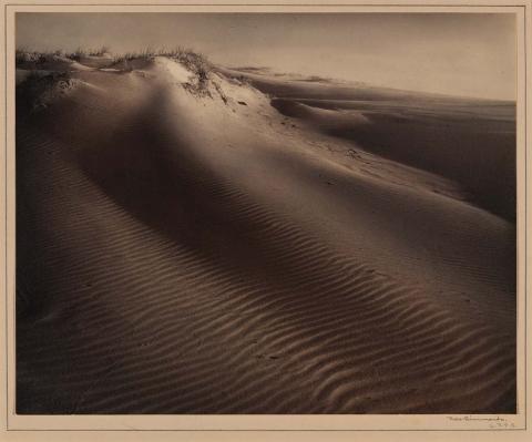 Artwork Last rays on the sand dunes this artwork made of Gelatin silver photograph on paper, created in 1939-01-01