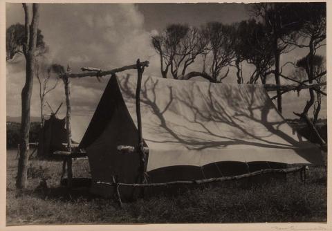 Artwork Shadow on the tent this artwork made of Gelatin silver photograph on paper, created in 1935-01-01
