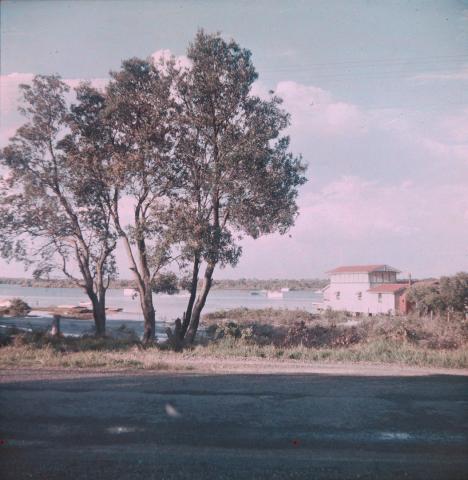Artwork (Southport landscape:  Three trees at edge of a road, water and boats in background) this artwork made of Cellulose acetate Dufay colour transparency (originally in a glass mount), created in 1935-01-01