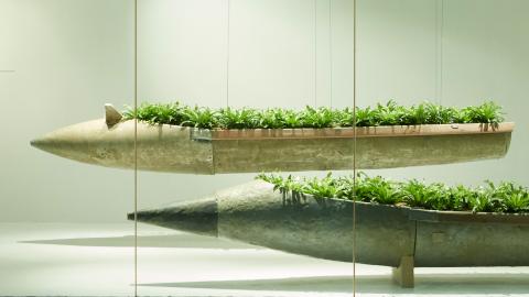 An installation view of two boat-like sculptures, planted with small ferns.
