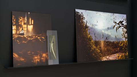 An installation view of two works depicting fire.