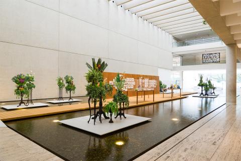 An installation view of a work installed over the Watermall in the Queensland Art Gallery: plants are displayed on Victoria era-style plant stands while a central walkway over the indoor pool features cabinets of items.