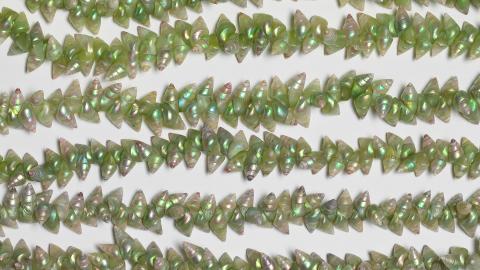 Strands of iridescent greens shells.