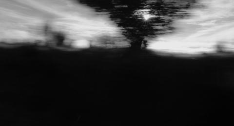 A black-and-white photograph of a tree taken in motion.