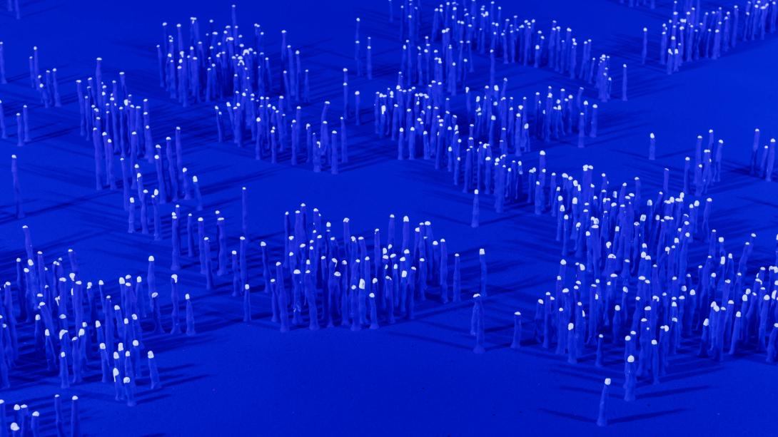 An installation view of what appears as blue bioluminescent coral on a blue background.