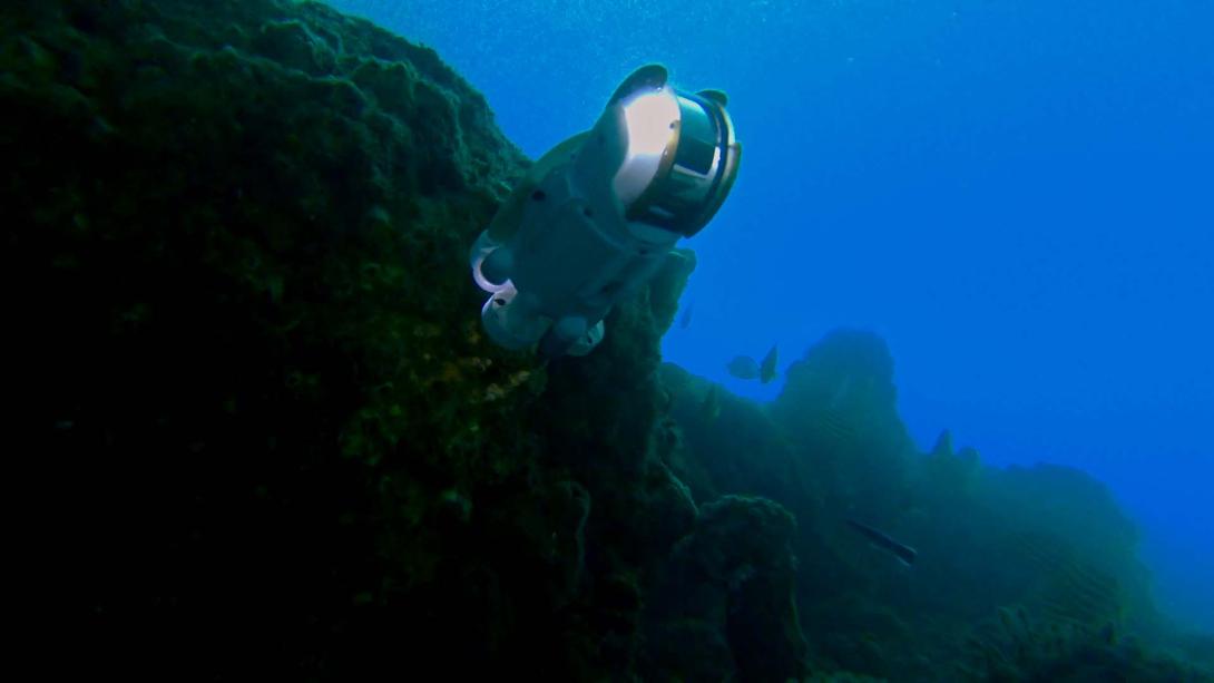 An underwater photograph of a small robot moving across the ocean floor.