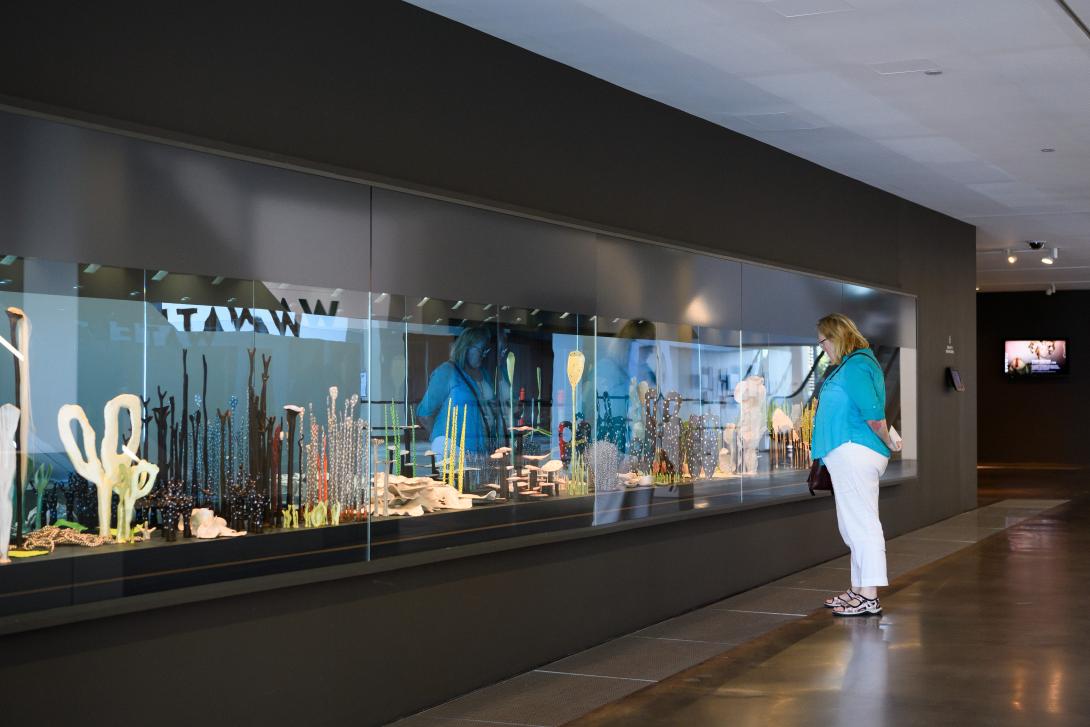 An installation view of a work installed in a glass cabinet, which is itself installed in a wall.