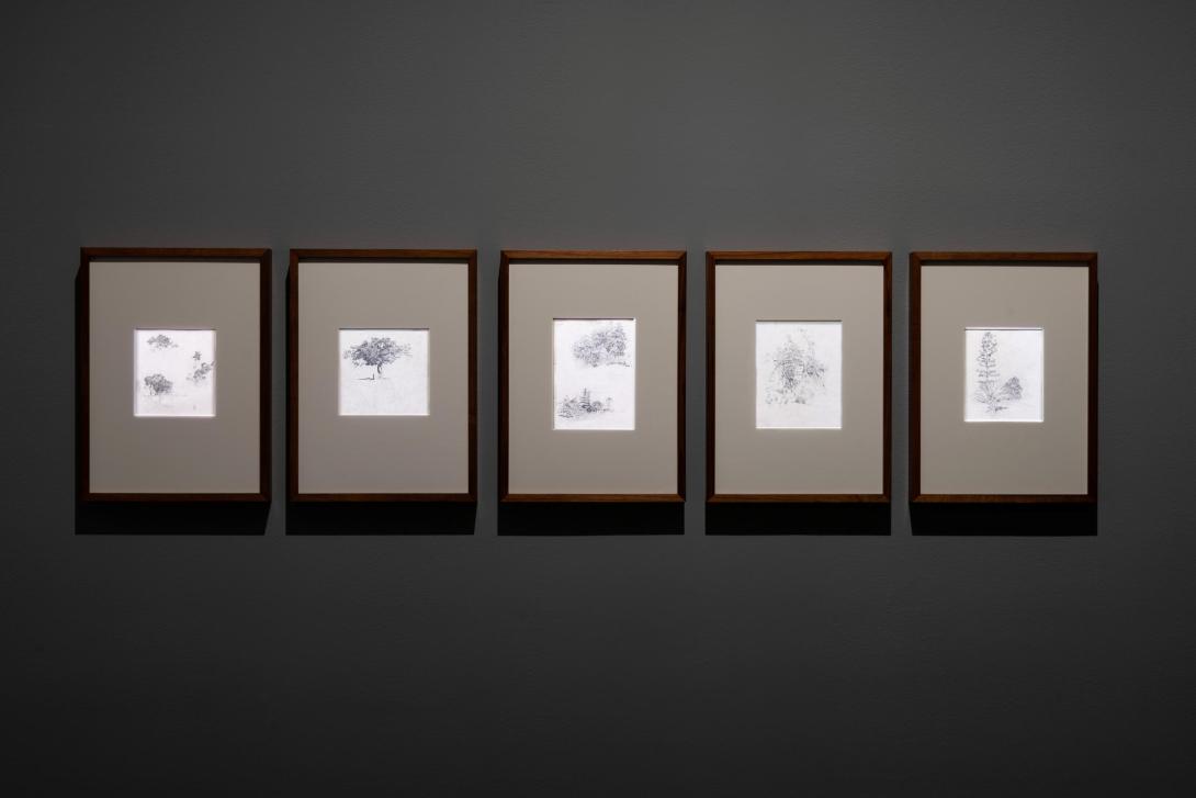 Five framed works on paper installed on a dark gallery wall