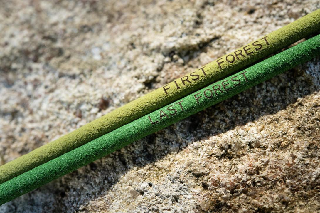 Two green incense sticks — labelled 'first forest' and 'last forest' — set on a stone surface.