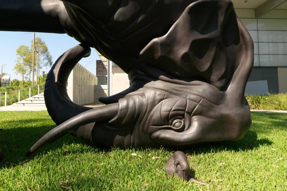 A photo taken outdoors of a work installed outside GOMA, on the lawn near the river; this detail view depicts an elephant's head upside down on the grass, with a river rat on the ground looking straight into the elephant's eye. Both are rendered in bronze.
