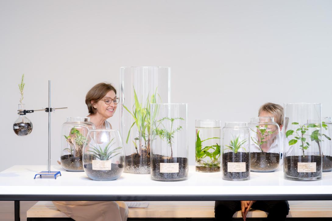 Two visitors sit around an installation of terraria with live plants installed on a white table in a white gallery space.
