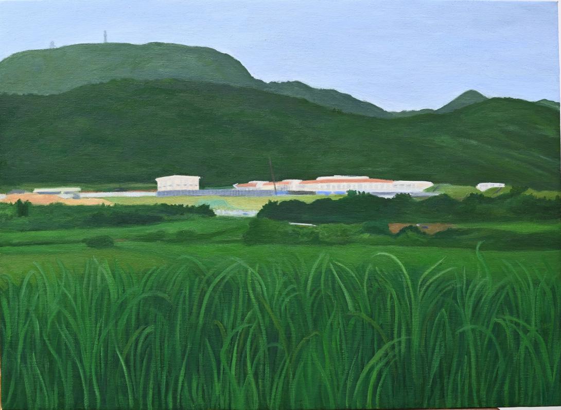 Artwork View from sugarcane field this artwork made of Oil on canvas