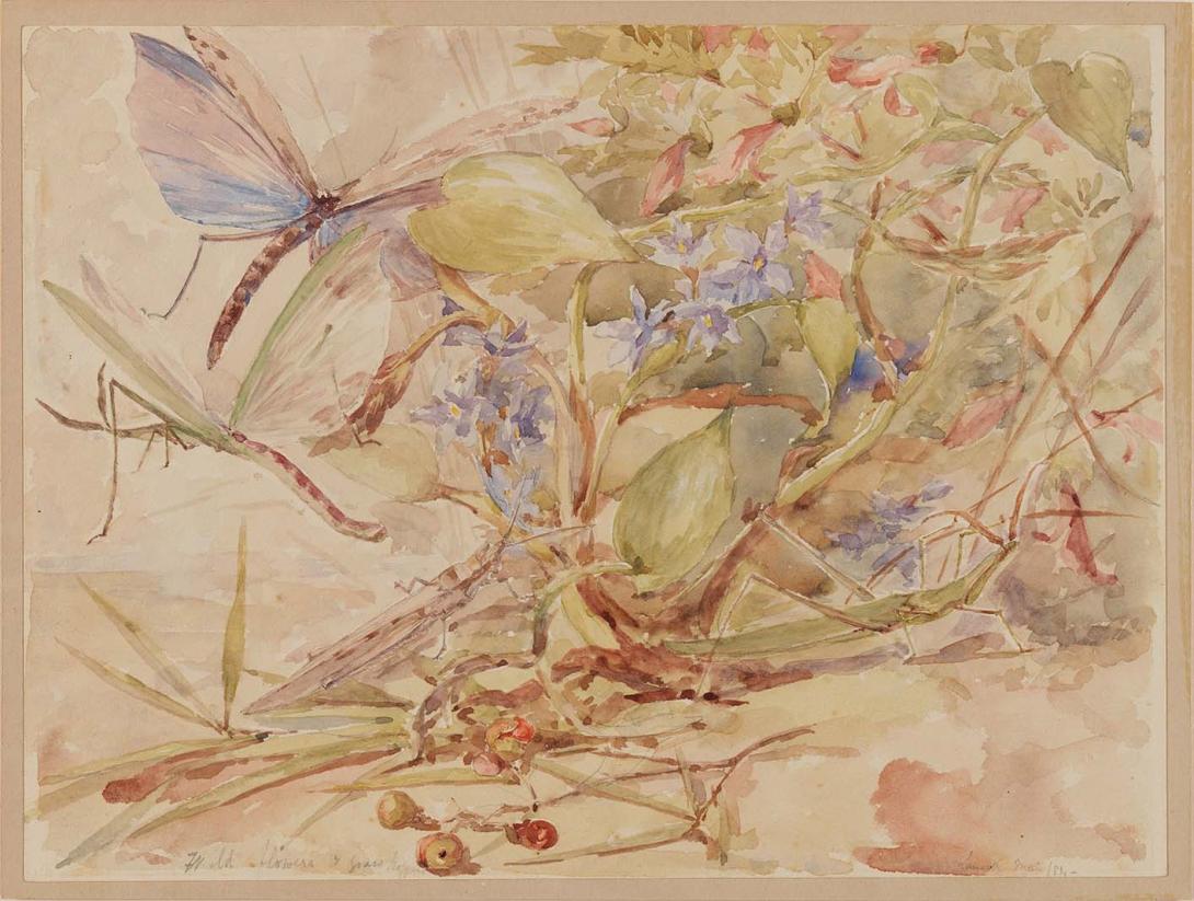 Artwork Wild flowers and grasshoppers this artwork made of Watercolour over pencil on wove paper, created in 1884-01-01