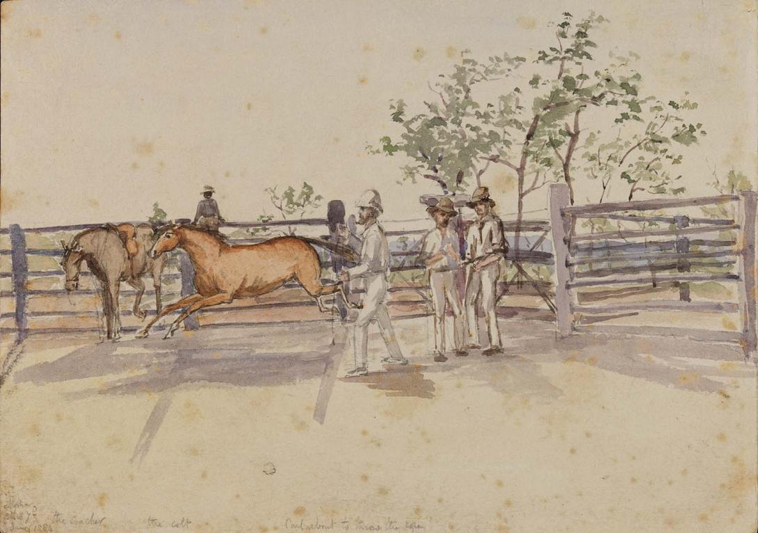 Artwork Alpha stockyard, the Coacher, the Colt and Carl this artwork made of Watercolour over pencil on wove paper, created in 1884-01-01