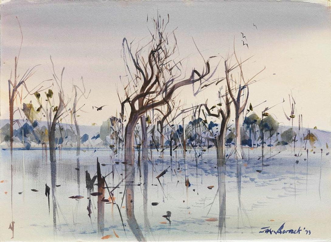 Artwork High water - Glenmaggie Weir this artwork made of Watercolour over pencil on paperboard, created in 1973-01-01