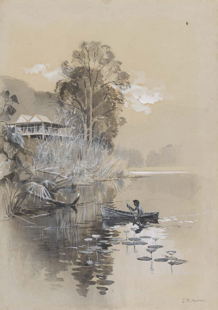 Artwork View on the Barron River, North Qld this artwork made of Watercolour wash heightened with white on paper, created in 1883-01-01