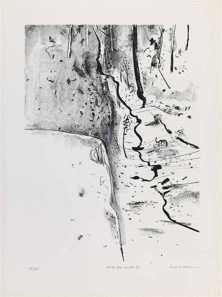 Artwork Wild Dog Creek II (from 'Fred Williams lithographs 1976-1978' portfolio) this artwork made of Lithograph on Arches 270gsm paper, created in 1976-01-01