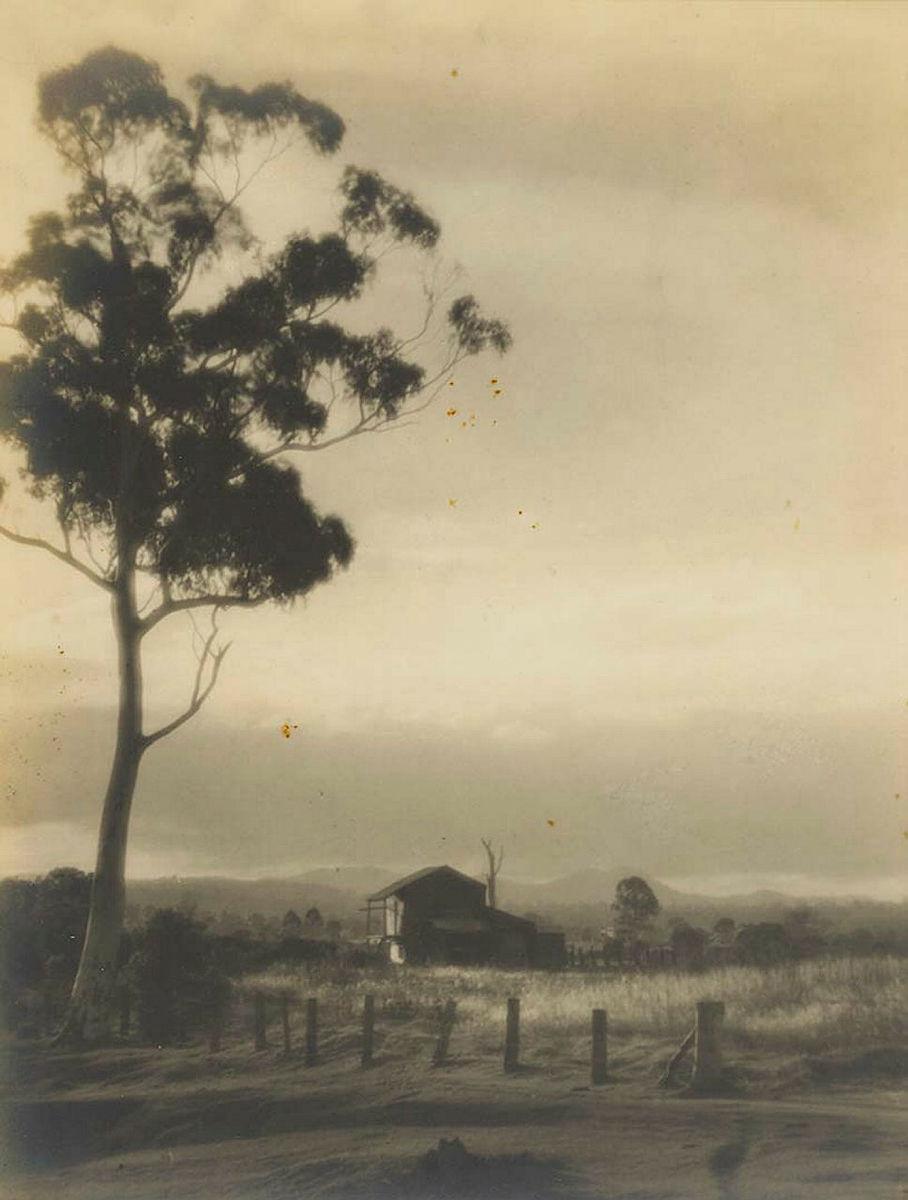 Artwork (Landscape with tree and house) this artwork made of Gelatin silver photograph on paper, created in 1930-01-01