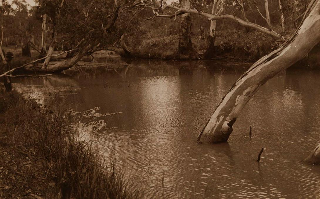Artwork (Creek with trees) this artwork made of Gelatin silver photograph, sepia-toned on paper, created in 1922-01-01