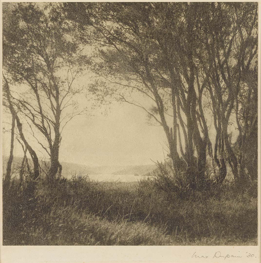 Artwork Palm Beach landscape this artwork made of Bromoil photograph on paper, created in 1930-01-01