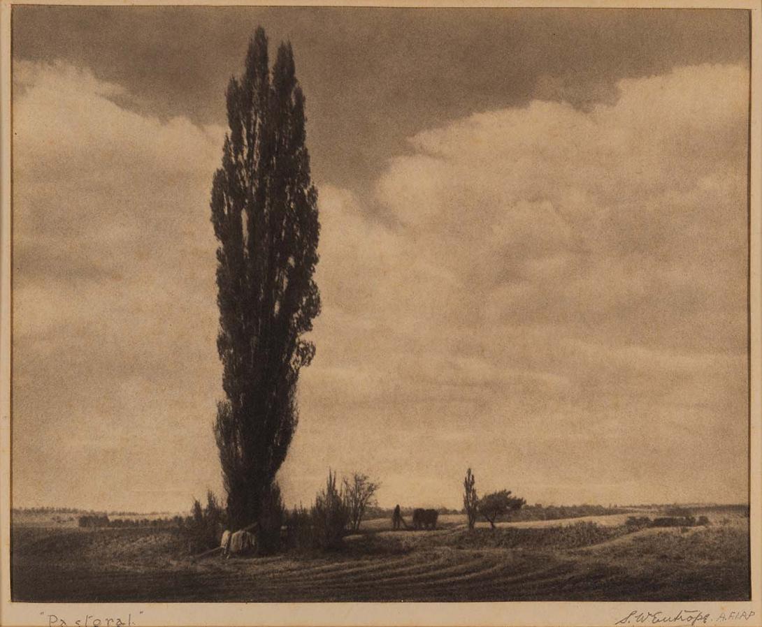 Artwork Pastoral this artwork made of Bromoil photograph on paper, created in 1920-01-01