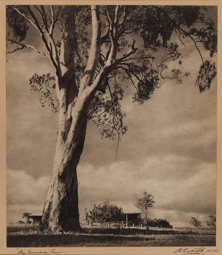 Artwork The guardian gum this artwork made of Bromoil photograph on paper, created in 1948-01-01