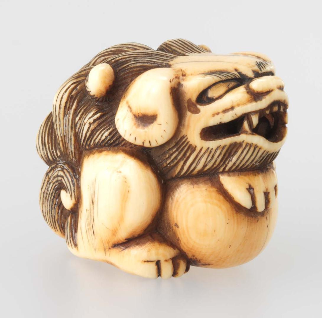 Artwork Netsuke:  (shishi (lion) with ball) this artwork made of Carved ivory, created in 1800-01-01